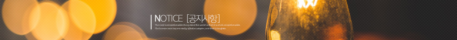 참라이팅
